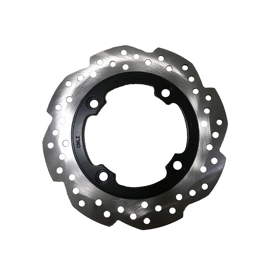 REAR BRAKE DISC ASSY