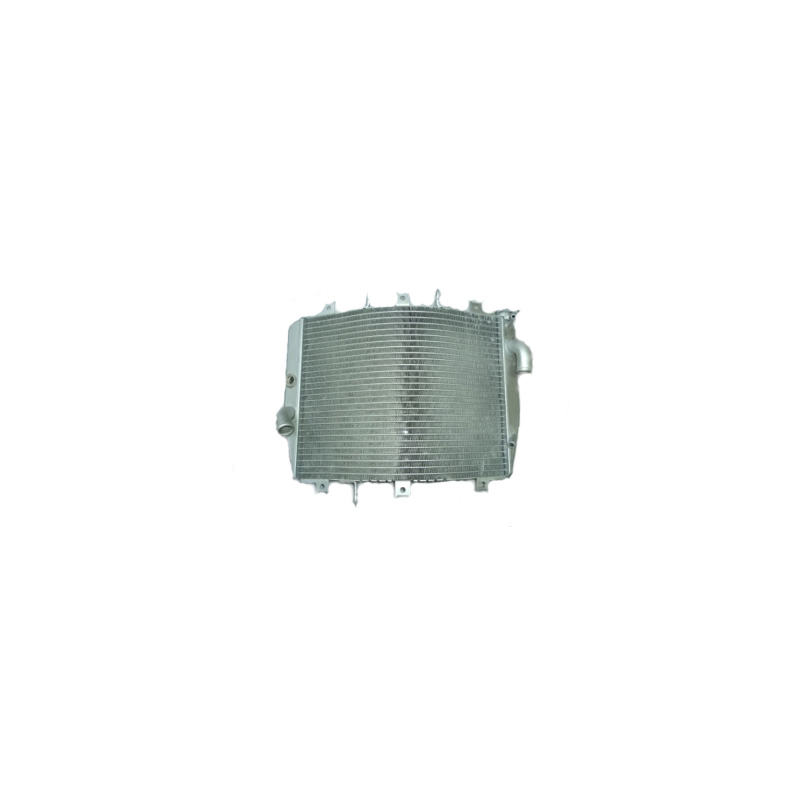 motorbike spare part China Aluminum off road motorcycle radiators